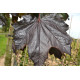 Acer platanoides Royal Red, Rode esdoorn