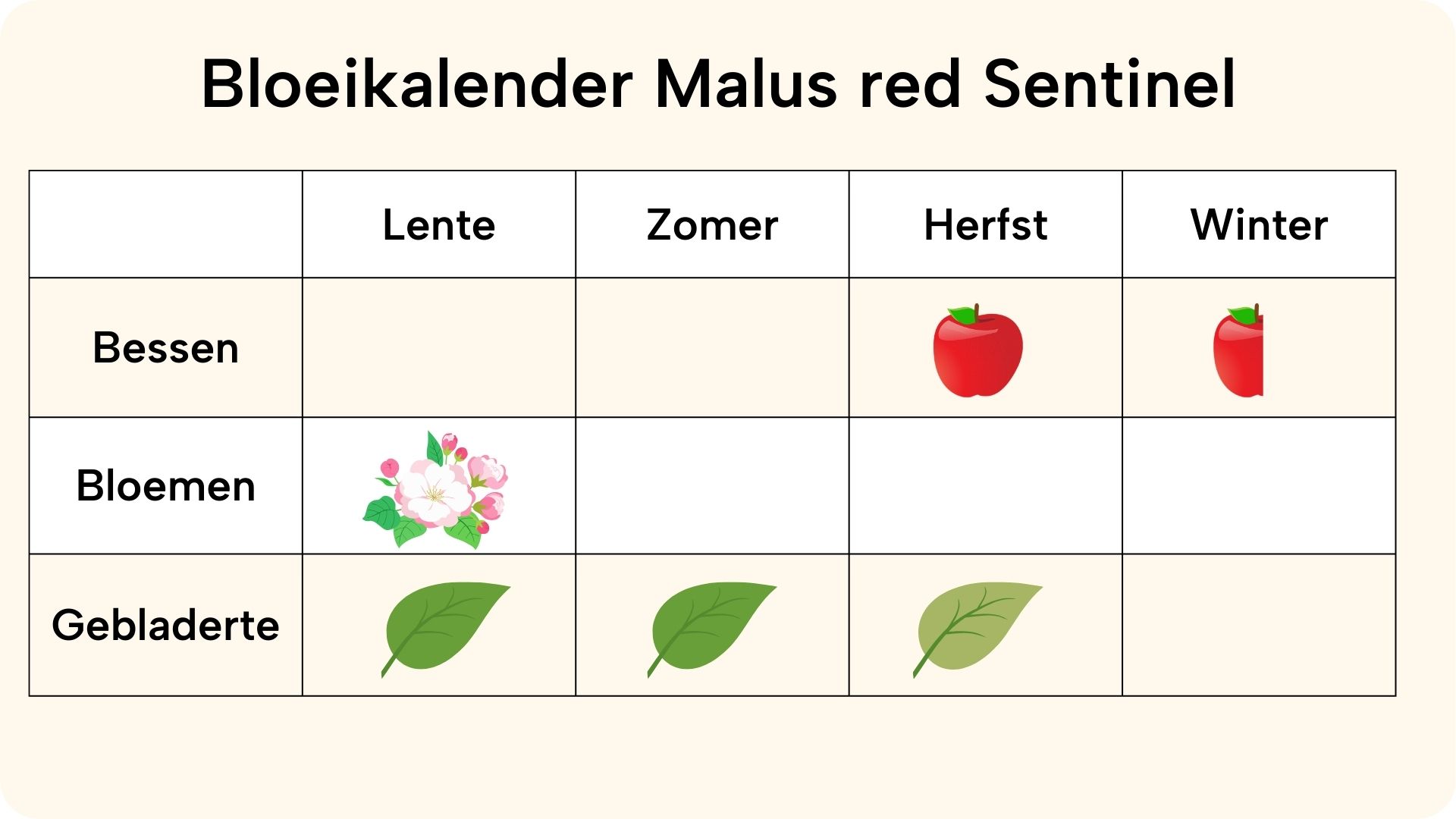 leisierappel bloeikalendar