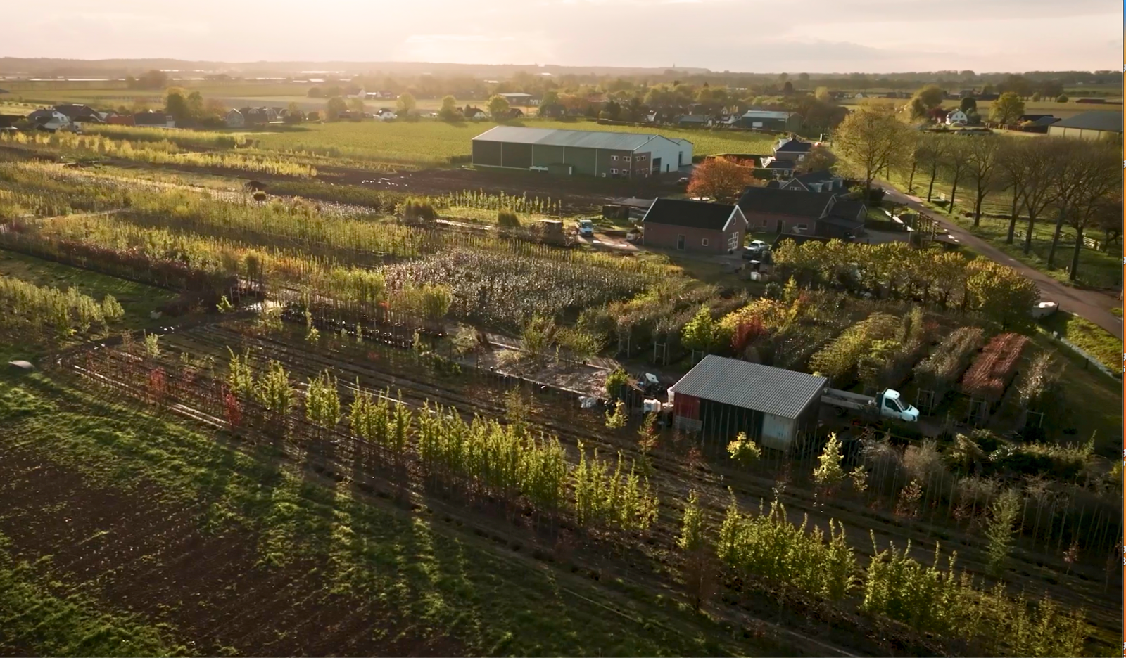 Over ons | Vinkbomen – Uw specialist in kwaliteitsbomen